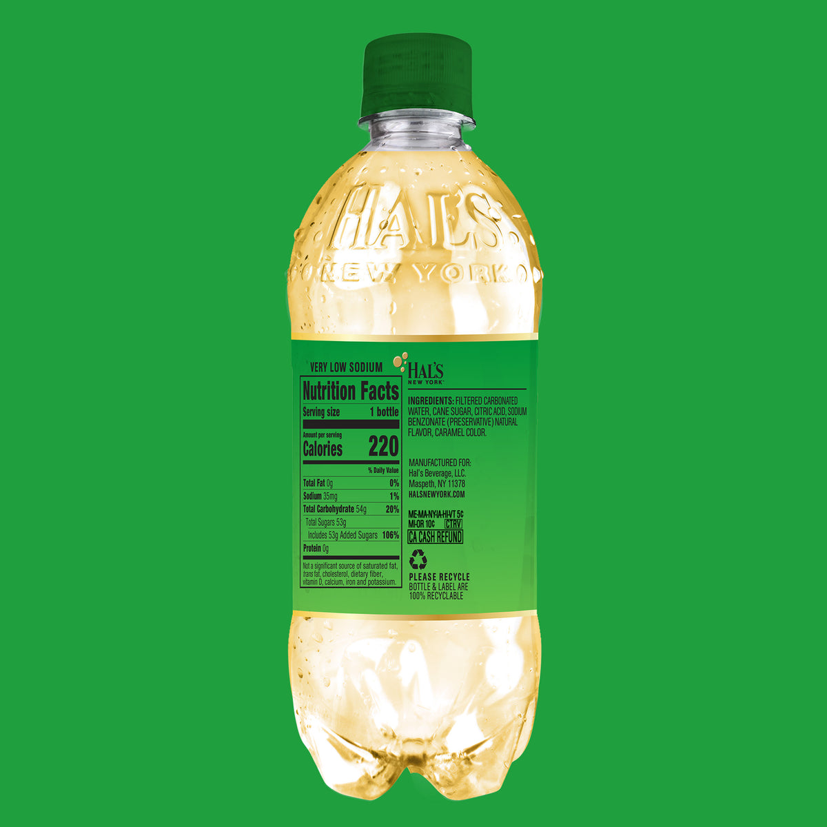 Ginger Ale, 20oz